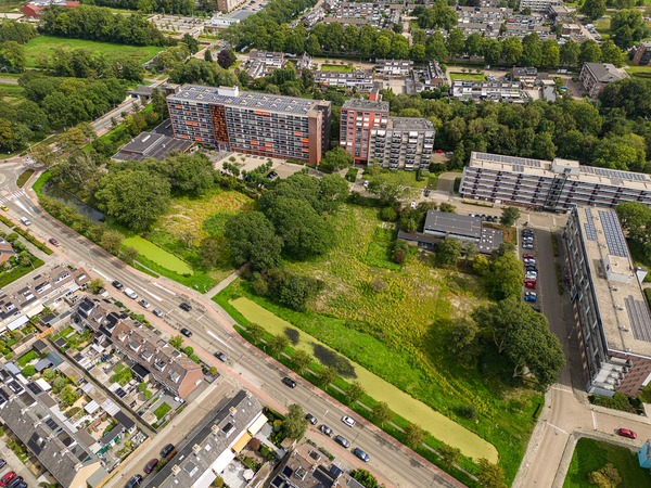 Huizen in Nederland met bomen en groen